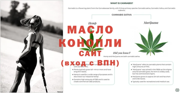ПСИЛОЦИБИНОВЫЕ ГРИБЫ Струнино