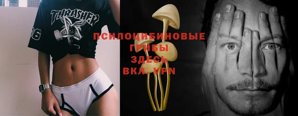 Альфа ПВП Ельня