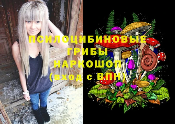 эйфоретик Елизово