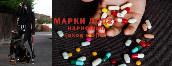 крисы Елабуга