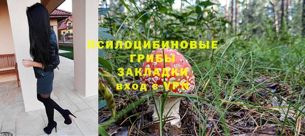 крисы Елабуга