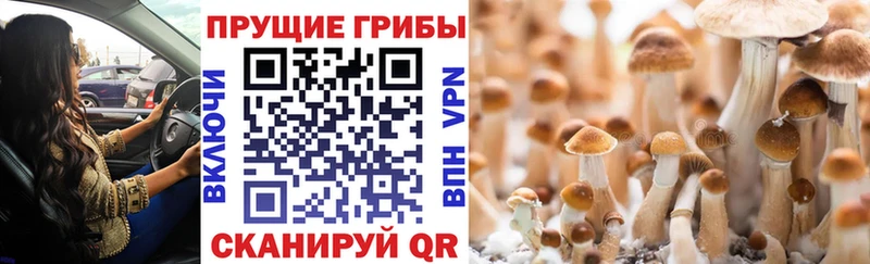 Купить  Усинск  Галлюциногенные грибы ЛСД 